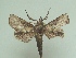  ( - KLM Lep 05859)  @11 [ ] CreativeCommons  Attribution Non-Commercial Share-Alike (2016) Christian Wieser Landesmuseum Kärnten