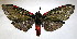  ( - BEVI2082)  @11 [ ] CreativeCommons - Attribution Non-Commercial Share-Alike (2007) B. Vincent Unspecified