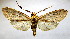  ( - BEVI2084)  @11 [ ] CreativeCommons - Attribution Non-Commercial Share-Alike (2007) B. Vincent Unspecified
