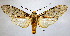  ( - BEVI2116)  @11 [ ] CreativeCommons - Attribution Non-Commercial Share-Alike (2007) B. Vincent Unspecified