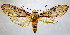  ( - BEVI2117)  @11 [ ] CreativeCommons - Attribution Non-Commercial Share-Alike (2007) B. Vincent Unspecified