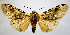  ( - BEVI2121)  @11 [ ] CreativeCommons - Attribution Non-Commercial Share-Alike (2007) B. Vincent Unspecified