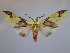  ( - BEVI2175)  @11 [ ] No Rights Reserved (2020) Benoit VINCENT Unspecified