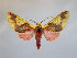  ( - BEVI2177)  @11 [ ] No Rights Reserved (2020) Benoit VINCENT Unspecified