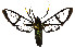  ( - MILA 2230)  @11 [ ] CreativeCommons - Attribution Non-Commercial Share-Alike (2007) M. Laguerre Unspecified