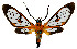  ( - MILA 2242)  @11 [ ] CreativeCommons - Attribution Non-Commercial Share-Alike (2007) M. Laguerre Unspecified