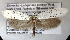  ( - NK1232)  @11 [ ] Copyright (2022) Stanislav Gomboc Research collection of Stanislav Gomboc