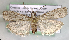  ( - NK1242)  @11 [ ] Copyright (2022) Stanislav Gomboc Research collection of Stanislav Gomboc