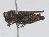  ( - CBG-A23419-B12)  @11 [ ] CreativeCommons - Attribution Share - Alike (2024) CBG Photography Group Centre for Biodiversity Genomics