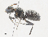  ( - CBG-A30072-C07)  @11 [ ] CreativeCommons - Attribution Share - Alike (2024) CBG Photography Group Centre for Biodiversity Genomics