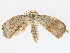  ( - CBG-A30097-F01)  @11 [ ] CreativeCommons - Attribution Share - Alike (2024) CBG Photography Group Centre for Biodiversity Genomics