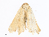  ( - CBG-A30101-H01)  @11 [ ] CreativeCommons - Attribution Share - Alike (2024) CBG Photography Group Centre for Biodiversity Genomics