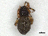  ( - CBG-A45275-H06)  @11 [ ] CreativeCommons - Attribution Share-Alike (2024) CBG Photography Group Centre for Biodiversity Genomics