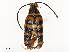  ( - CBG-A58589-D01)  @11 [ ] CreativeCommons - Attribution Share - Alike (2025) CBG Photography Group Centre for Biodiversity Genomics