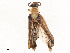  ( - CBG-A58642-B05)  @11 [ ] CreativeCommons - Attribution Share - Alike (2024) CBG Photography Group Centre for Biodiversity Genomics