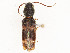  ( - CBG-A58642-C09)  @11 [ ] CreativeCommons - Attribution Share - Alike (2024) CBG Photography Group Centre for Biodiversity Genomics