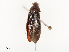  ( - CBG-A58644-B05)  @11 [ ] CreativeCommons - Attribution Share - Alike (2025) CBG Photography Group Centre for Biodiversity Genomics