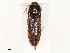  ( - CBG-A58652-A04)  @11 [ ] CreativeCommons - Attribution Share - Alike (2025) CBG Photography Group Centre for Biodiversity Genomics