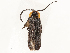  ( - CBG-A58652-H02)  @11 [ ] CreativeCommons - Attribution Share - Alike (2025) CBG Photography Group Centre for Biodiversity Genomics