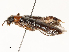  ( - CBG-A58653-C12)  @11 [ ] CreativeCommons - Attribution Share - Alike (2025) CBG Photography Group Centre for Biodiversity Genomics