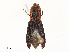  ( - CBG-A58590-F08)  @11 [ ] CreativeCommons - Attribution Share - Alike (2025) CBG Photography Group Centre for Biodiversity Genomics