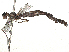  ( - CBG-B02416-H10)  @11 [ ] CreativeCommons - Attribution Share - Alike (2025) CBG Photography Group Centre for Biodiversity Genomics