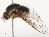  ( - CBG-B02482-B03)  @11 [ ] CreativeCommons - Attribution Share - Alike (2025) CBG Photography Group Centre for Biodiversity Genomics