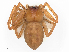  ( - CBG-B02482-H07)  @11 [ ] CreativeCommons - Attribution Share - Alike (2025) CBG Photography Group Centre for Biodiversity Genomics