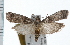  ( - UBC-2006-1842)  @14 [ ] CreativeCommons - Attribution (2009) Unspecified Centre for Biodiversity Genomics