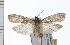  ( - UBC-2006-1844)  @14 [ ] CreativeCommons - Attribution (2009) Unspecified Centre for Biodiversity Genomics