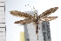  ( - UBC-2006-1908)  @14 [ ] CreativeCommons - Attribution (2009) Unspecified Centre for Biodiversity Genomics