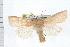  ( - UBC-2006-1982)  @14 [ ] CreativeCommons - Attribution (2009) Unspecified Centre for Biodiversity Genomics