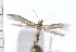  ( - UBC-2006-2045)  @14 [ ] CreativeCommons - Attribution (2009) Unspecified Centre for Biodiversity Genomics