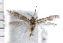  ( - UBC-2006-2046)  @13 [ ] CreativeCommons - Attribution (2009) Unspecified Centre for Biodiversity Genomics