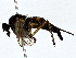  ( - BIOUG79411-F11)  @11 [ ] CreativeCommons - Attribution (2022) CBG Photography Group Centre for Biodiversity Genomics