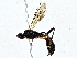  ( - BIOUG79490-A07)  @11 [ ] CreativeCommons - Attribution (2022) CBG Photography Group Centre for Biodiversity Genomics