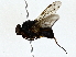  ( - BIOUG79402-G01)  @11 [ ] CreativeCommons - Attribution (2022) CBG Photography Group Centre for Biodiversity Genomics