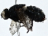  ( - BIOUG79404-B09)  @11 [ ] CreativeCommons - Attribution (2022) CBG Photography Group Centre for Biodiversity Genomics