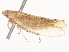  ( - CBG-A48626-B08)  @11 [ ] CreativeCommons - Attribution Share - Alike (2024) CBG Photography Group Centre for Biodiversity Genomics