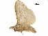  ( - BIOUG12315-D06)  @12 [ ] CreativeCommons - Attribution (2017) CBG Photography Group Centre for Biodiversity Genomics