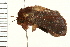  ( - 08BBLEP-01389)  @12 [ ] CreativeCommons - Attribution (2008) Unspecified Centre for Biodiversity Genomics