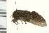  ( - 08BBLEP-01446)  @12 [ ] CreativeCommons - Attribution (2008) Unspecified Centre for Biodiversity Genomics