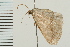  ( - 08BBLEP-01450)  @12 [ ] CreativeCommons - Attribution (2008) Unspecified Centre for Biodiversity Genomics