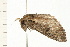 ( - 08BBLEP-01143)  @12 [ ] CreativeCommons - Attribution (2008) Unspecified Centre for Biodiversity Genomics