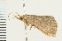  ( - 08BBLEP-01624)  @14 [ ] CreativeCommons - Attribution (2008) Unspecified Centre for Biodiversity Genomics