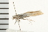  ( - 08BBLEP-01483)  @13 [ ] CreativeCommons - Attribution (2008) Unspecified Centre for Biodiversity Genomics