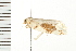  ( - 08BBLEP-00809)  @12 [ ] CreativeCommons - Attribution (2008) Unspecified Centre for Biodiversity Genomics
