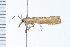  ( - 08BBLEP-01236)  @12 [ ] CreativeCommons - Attribution (2008) Unspecified Centre for Biodiversity Genomics