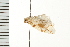  ( - 08BBLEP-00834)  @12 [ ] CreativeCommons - Attribution (2008) Unspecified Centre for Biodiversity Genomics