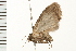 ( - 08BBLEP-00853)  @13 [ ] CreativeCommons - Attribution (2008) Unspecified Centre for Biodiversity Genomics